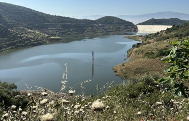 İZMİR ÖDEMİŞ’ TE LÜBBEY KÖYÜ YOLU ÜZERİ ÇİFTLİK ARAZİSİ