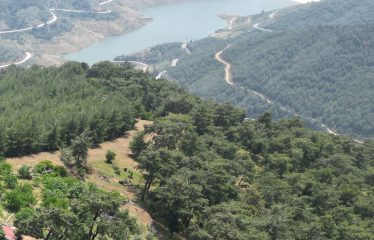 İZMİR ÖDEMİŞ’ TE LÜBBEY KÖYÜ YOLU ÜZERİ ÇİFTLİK ARAZİSİ