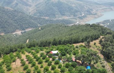 İZMİR ÖDEMİŞ’ TE LÜBBEY KÖYÜ YOLU ÜZERİ ÇİFTLİK ARAZİSİ