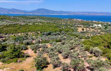 URLA ÖZBEK’TE MUHTEŞEM LOKASYONDA YATIRIMLIK ARAZİ