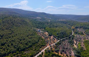 URLA ÖZBEK’TE MUHTEŞEM LOKASYONDA YATIRIMLIK ARAZİ