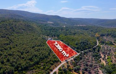 URLA ÖZBEK’TE MUHTEŞEM LOKASYONDA YATIRIMLIK ARAZİ